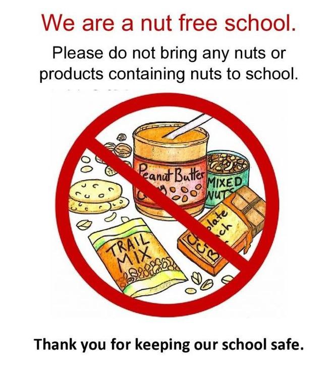Nut Free School